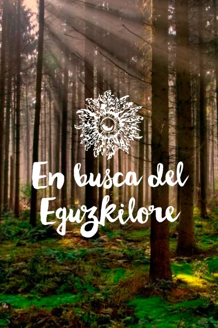 Escape Room - En busca del Eguzkilore